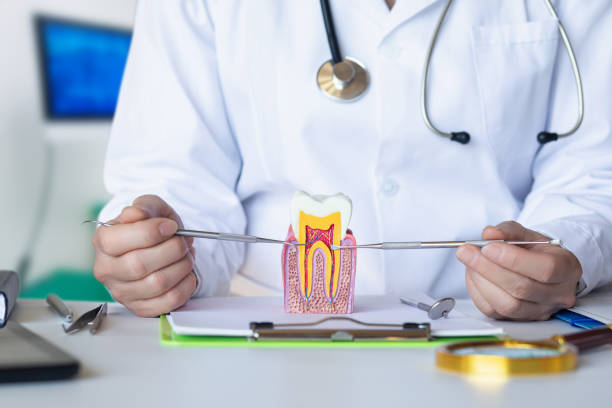 Best Urgent Care for Lost Fillings or Crowns in Wyanet, IL